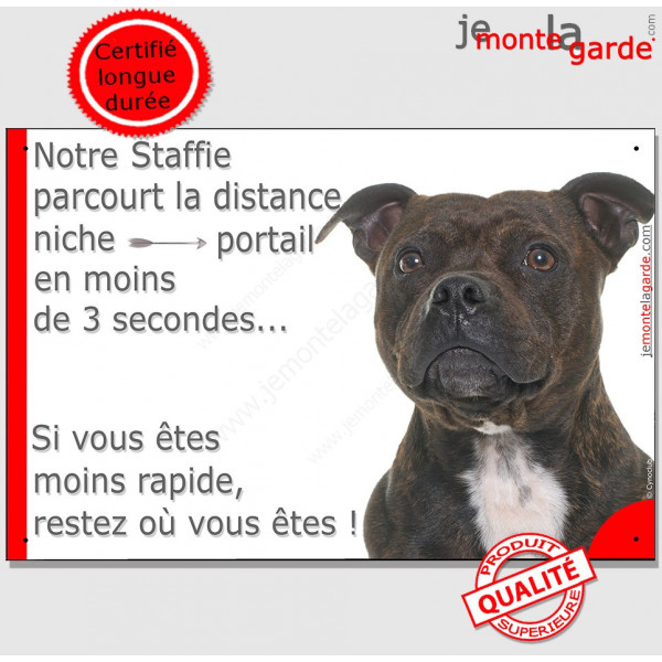 Staffie bringé Tête, plaque humour "parcourt distance Niche - Portail en 3 secondes, moins rapide" pancarte panneau drôle photo