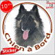 Berger Belge Tervuren, sticker autocollant rond "Chien à Bord" Disque adhésif voiture Tervuren photo