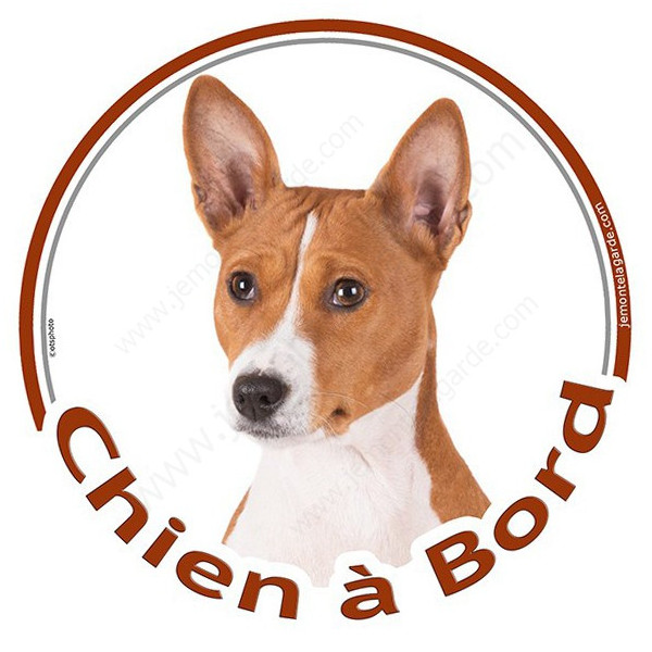 Sticker autocollant rond "Chien à Bord" 15 cm, Basenji Tête, adhésif vitre voiture