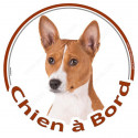 Basenji fauve, sticker voiture "Chien à Bord" 15 cm - 3 ans