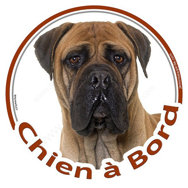 Bullmastiff fauve, disque photo autocollant "Chien à Bord" Sticker adhésif rond vitre voiture