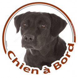 Labrador noir, sticker voiture "Chien à Bord" 15 cm - 3 ans