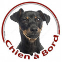 Pinscher noir et feu, sticker rond voiture "Chien à Bord" 15 cm