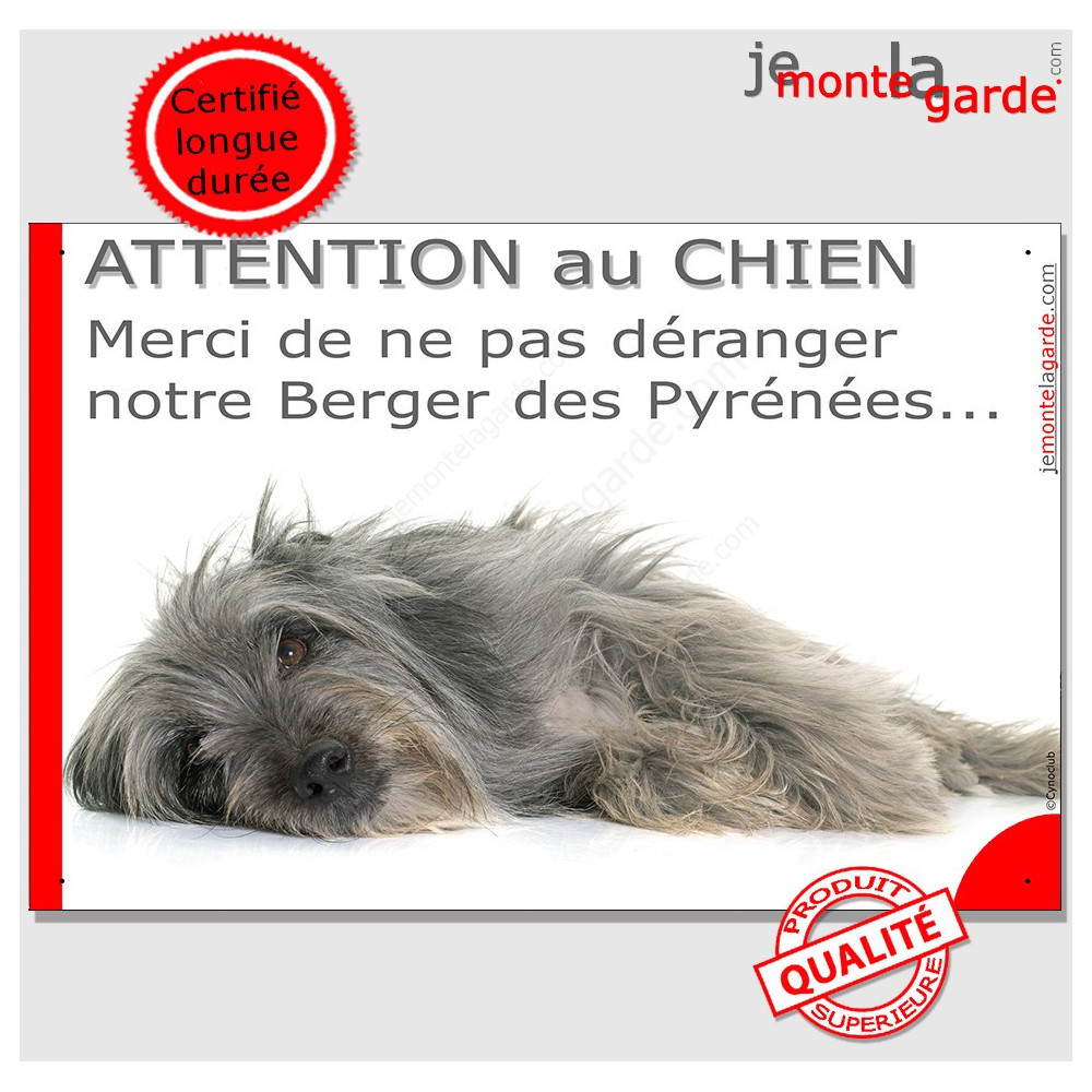  Attention au Chien (Beware of Dog) French Plaque, 4 x 2.5 :  Home & Kitchen