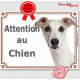 Lévrier Whippet fauve, plaque portail "Attention au Chien" panneau pancarte photo