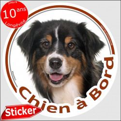 Aussie Tricolore, sticker voiture "Chien à Bord" 15 cm