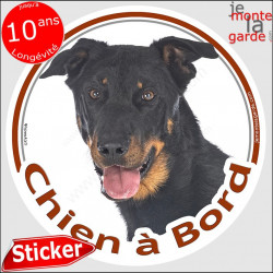 Beauceron Tête, sticker rond "Chien à Bord" Autocollant adhésif Berger de Beauce voiture auto vitre photo