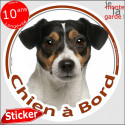 Jack Russell Tricolore, sticker voiture rond "Chien à Bord" 2 tailles D