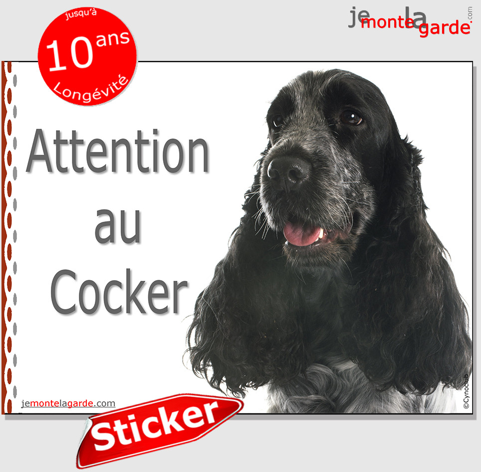 Panneau autocollant Attention au Chien Cocker Golden, résiste