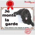 Terre Neuve noir, plaque portail "Je Monte la Garde" 24 cm LUXE