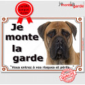 Bullmastiff Fauve, plaque portail "Je Monte la Garde, risques périls" 24 cm LUX