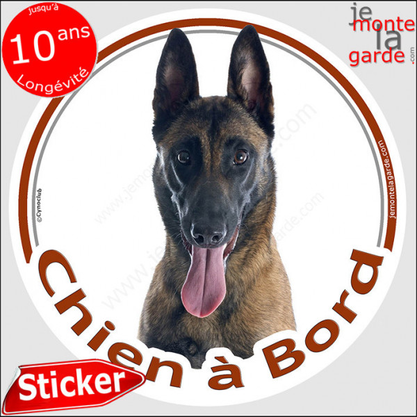 Berger Belge Malinois Tête, sticker autocollant rond "Chien à Bord" disque adhésif vitre voiture