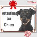 Pinscher, plaque portail "Attention au chien" 2 tailles LUX C