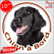 Flat-Coated Retriever Tête, sticker autocollant rond "Chien à Bord" Disque adhésif vitre voiture photo