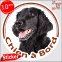 Flat-Coated Retriever, sticker voiture "Chien à Bord" 2 tailles D