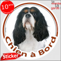 Cavalier tricolore, sticker voiture "Chien à Bord" 14 cm