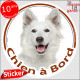 Berger Blanc Suisse, sticker rond "Chien à Bord" Disque autocollant adhésif voiture auto vitre photo