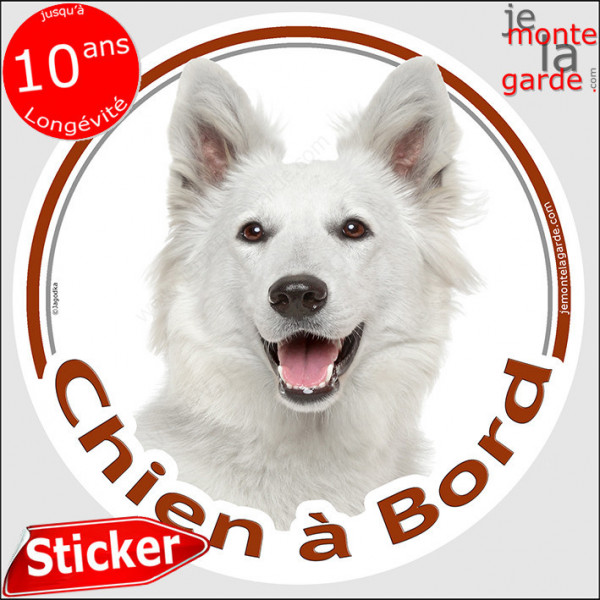 Berger Blanc Suisse, sticker rond "Chien à Bord" Disque autocollant adhésif voiture auto vitre photo