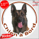 Berger Belge Malinois sombre foncé, sticker autocollant rond "Chien à Bord" Disque adhésif vitre voiture photo