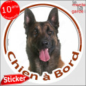 Malinois, sticker voiture rond "Chien à Bord" 2 tailles D