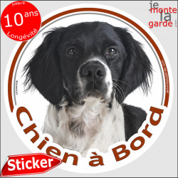 Epagneul Breton noir, sticker voiture rond "Chien à Bord" 14 cm