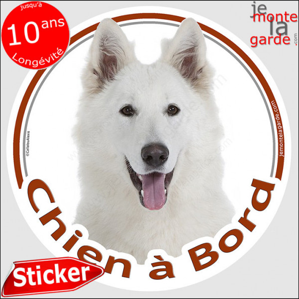 Berger Blanc, sticker autocollant rond "Chien à Bord" Disque adhésif vitre voiture Suisse photo