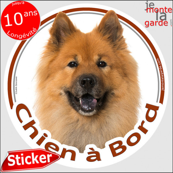 Eurasier fauve rouge, disque autocollant "Chien à Bord" Sticker photo voiture eurasien rouge sable