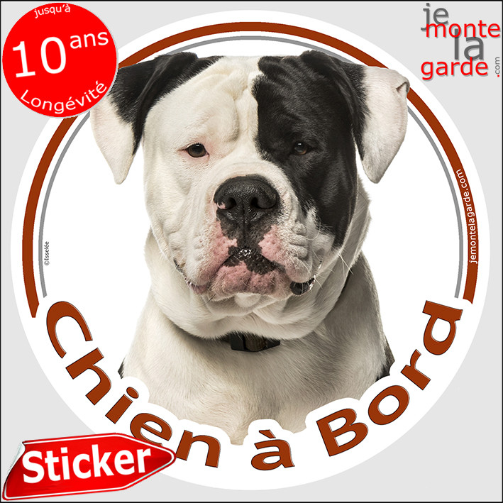 Sticker International Ca Dé BOU - Autocollant Voiture - Chien