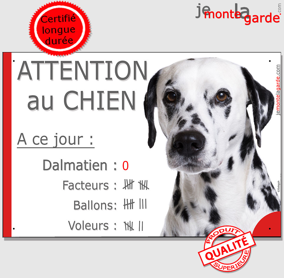 Attention Chien Nombre de Facteurs, Voleurs, Ballons Plaque bleue portail