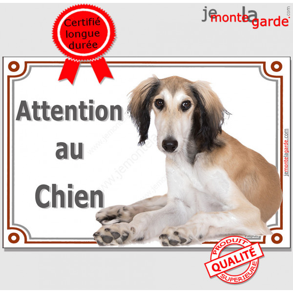 Lévrier Saluki fauve et blanc, plaque portail "Attention au Chien" pancarte panneau photo Persan couché