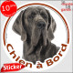 Dogue Allemand gris bleu, sticker autocollant rond "Chien à Bord" Disque adhésif photo Danois race