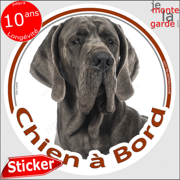 Dogue Allemand gris bleu, sticker autocollant rond "Chien à Bord" Disque adhésif photo Danois race