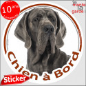 Dogue Allemand bleu, sticker voiture "Chien à Bord" 2 tailles