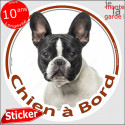 Bouledogue Français caille, sticker voiture "Chien à Bord" 14 cm