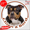 American Bully tricolore, sticker voiture rond "Chien à Bord" 14 cm