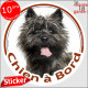 Cairn Terrier bringé foncé Tête, sticker autocollant rond "Chien à Bord" Disque photo adhésif vitre voiture