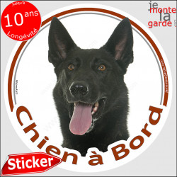 Berger Hollandais poils courts, sticker voiture rond "Chien à Bord" 2 tailles D