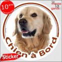 Golden Retriever sticker voiture "Chien à Bord" 2 tailles D