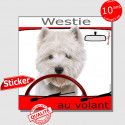 "Westie au volant" autocollant voiture humour 15 cm