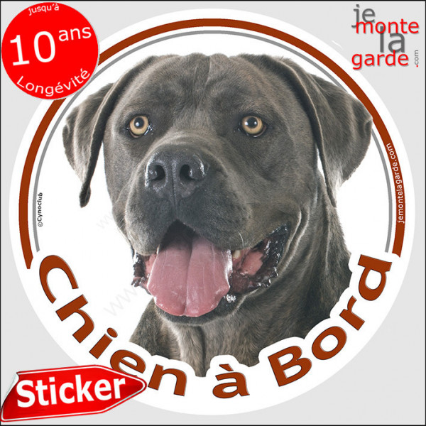 Cane Corso gris bleu, sticker autocollant rond "Chien à Bord" disque adhésif vitre voiture bringé photo