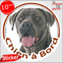 Cane Corso gris, sticker voiture rond "Chien à Bord" 2 tailles D