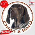 Braque Allemand marron, sticker voiture rond "Chien à Bord" 2 tailles D