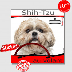 "Shih-Tzu au volant" autocollant photo humour voiture 15 cm