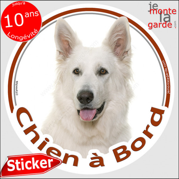 Berger Blanc Suisse, sticker rond "Chien à Bord" Disque photo autocollant vitre voiture