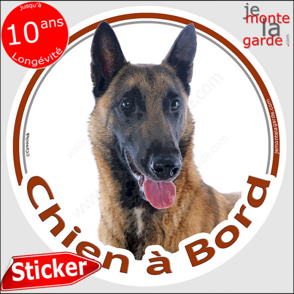 Berger Belge Malinois, sticker autocollant rond "Chien à Bord" Disque photo adhésif vitre voiture