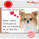 Chihuahua fauve et blanc poils longs, plaque "Un chien est Membre de la Famille" photo panneau idée cadeau cadre pancarte