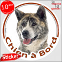 Akita Inu bringé, sticker voiture rond "Chien à Bord" 14 cm