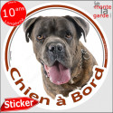 Cane Corso bringé, sticker voiture rond "Chien à Bord" 2 tailles D