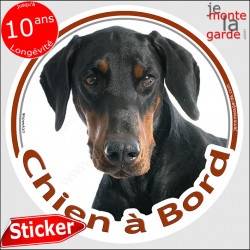 Dobermann noir et feu, sticker autocollant rond "Chien à Bord" Disque adhésif vitre voiture photo race chien