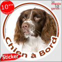 Springer marron, sticker voiture rond "Chien à Bord" 2 tailles